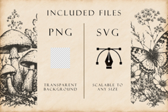 Woodland Ink Illustration Bundle Product Image 7