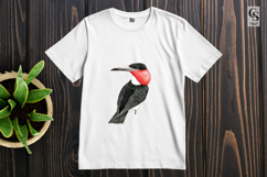 Watercolor Frigatebird Clipart Sublimation PNG Product Image 2