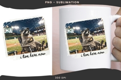 Funny raccoon png design for T-shirts Product Image 3