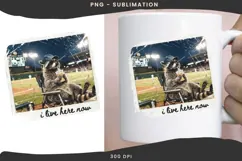 Funny raccoon png design for T-shirts Product Image 3