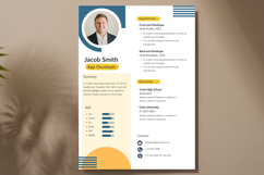 28 Professional Resume - Canva Product Image 3