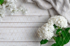 Poppy Background PNG, Wooden Background Designs Product Image 3