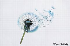 Blowing Dandelions Clipart PNG Product Image 1