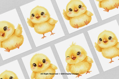 15 Bundle Watercolor Small Chicks Yellow Chicken Kids Product Image 3
