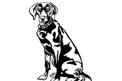 Weimaraner dog/Dog Svg/Png/Jpg/Ai/Vector purebred breed/Pet Product Image 4