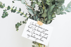 Autumn Signature Product Image 3