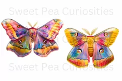 Moths, Junk Journal, PNG, Clipart, Ephemera, Butterflies Product Image 3