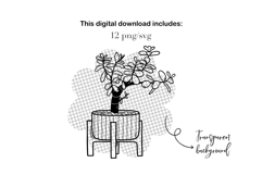 House Plants Line Art, Potted and Hanging Botanical Clipart Product Image 5