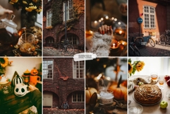 10 Crisp Leaves Mobile Lightroom Presets Product Image 3