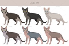 Lykoi cat clipart Product Image 2
