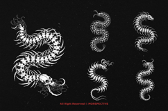 10 Bundle Dark Art Centipede Skull Animal Scary Horror Product Image 5