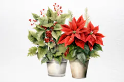 Christmas Houseplants Clipart PNG Product Image 3