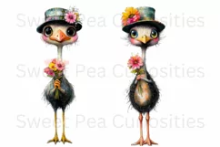 Birds, Ostrich, Ephemera, PNG, watercolor, Clipart Product Image 3