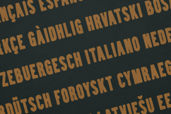 Brawn Display Font Bold Retro Distressed Product Image 3