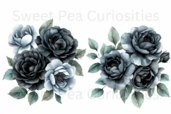 Flowers, Black, Ephemera, PNG, watercolor, Clipart Product Image 3