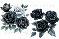 Flowers, Black, Ephemera, PNG, watercolor, Clipart Product Image 3