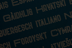 Hippo Outline Modern Double Line Sans Serif Font Product Image 3