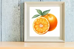 Watercolor Orange Clipart, Watercolor Clipart Product Image 3