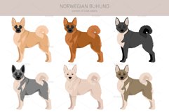 Norwegian Buhund clipart Product Image 4