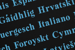 Oldink Organic Serif Font Product Image 3