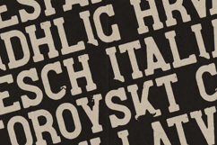 Burble Bold Vintage Slab Display Font Product Image 3