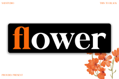 Galafera - Refined Serif Typeface Product Image 3