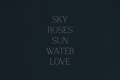 Solhene A Sophisticated Serif Font Product Image 3
