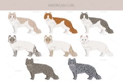American Curl Cat clipart Product Image 3