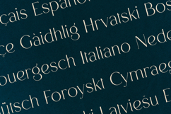 Alpas Minimal Editorial Serif Typeface Product Image 3