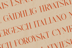 Kindel Display Serif Font Elegant Modern Editorial Typeface Product Image 3