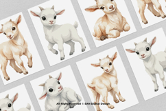 15 Bundle Watercolor White Goat Baby Kids Charming Farm Product Image 3