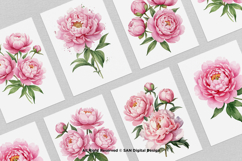 15 Bundle Watercolor Pink Peony Flower Blush Romantic Product Image 3