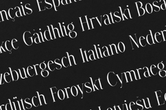 Avarice Elegant High Contrast Serif Font Product Image 3