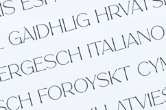 Story Type Elegant Modern Serif Font Product Image 3