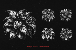 10 Bundle Dark Art Pothos Plant Leaf Greenery Boho Botanical Product Image 5