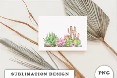 Watercolor Cactus and Succulents sublimation PNG Product Image 3