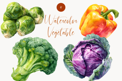 Watercolor Vegetable Clipart Broccoli, Cabbage, Bell Pepper Product Image 1