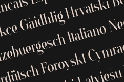 VSOP Elegant Luxury Serif Font Product Image 3