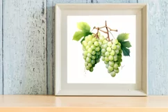 Watercolor Green Grape Clipart, Watercolor Clipart Product Image 3