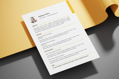 12 Clean Simple Resume CV - Canva Product Image 3
