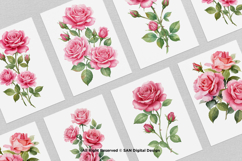 15 Bundle Watercolor Pink Rose Love Romantic Couple Feminine Product Image 3