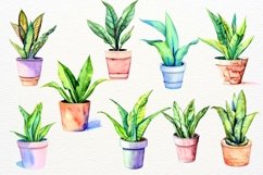 House Plants Watercolor Clipart, Indoor Plants Product Image 3