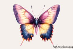 Colorful Spring Butterfly Clipart Bundle PNG Product Image 3