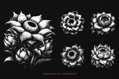 10 Bundle Dark Art Rafflesia Flower Plant Floral Botanical Product Image 5