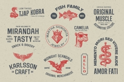 Survious Vintage Font Collection Product Image 3