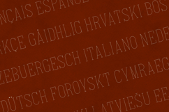 Italian Elegant Thin Slab Serif Font Product Image 3