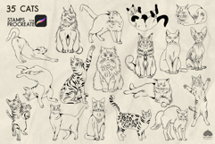 Cats Procreate Stamps Product Image 3