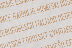 Errorist Textured Vintage Serif Display Font Product Image 3