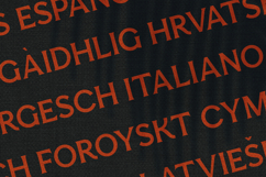 Esquie Modulated Sans Product Image 3