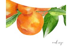 Floral frame clipart | fruit watercolor wreath #w142 Product Image 4